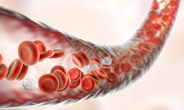 cancer cancer thrives on glucose